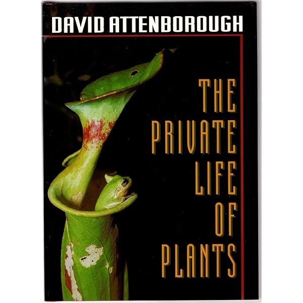 Amazon.com: Private Life Of Plants : Movies & TV